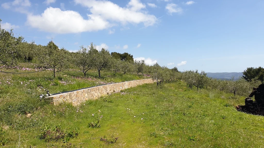 AZIENDA AGRICOLA