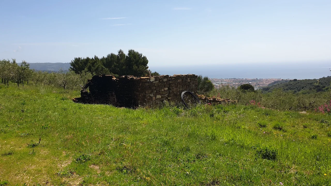 AZIENDA AGRICOLA