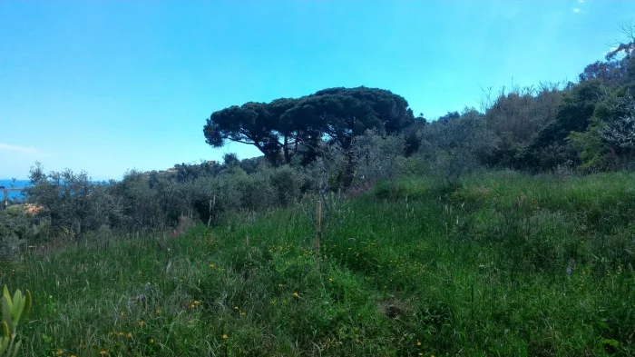 AZIENDA AGRICOLA / AGRITURISTICA