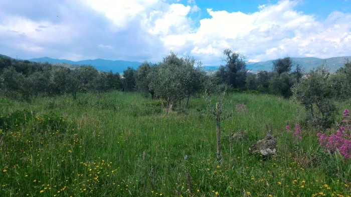 AZIENDA AGRICOLA / AGRITURISTICA